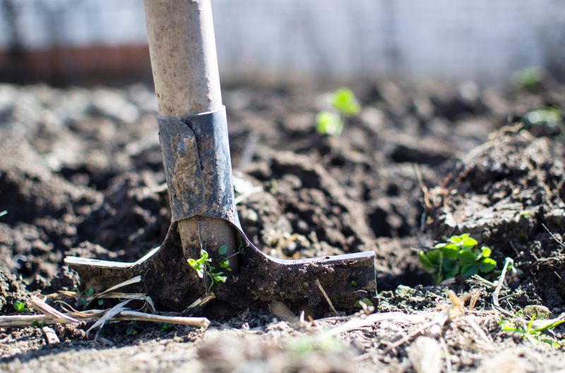 The Benefits of Gardening For Physical and Mental Health