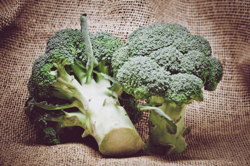 broccoli-is-an-easy-superfood-to-grow